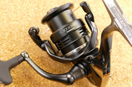 シマノ(SHIMANO) 20 エクスセンスBB C3000MHG-