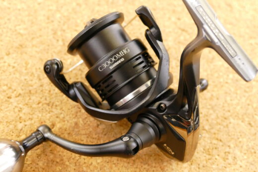 ポイント2倍 シマノ(SHIMANO) 20 エクスセンスBB C3000MHG | ochge.org