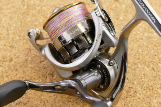 Daiwa 12ルビアス 2506H