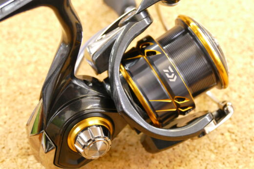 ダイワ(DAIWA) 21 カルディア LT2500S-XH - labaleinemarseille.com