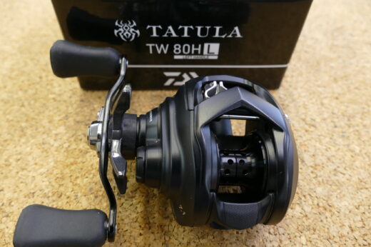 ２２タトウーラ　TW　80HL