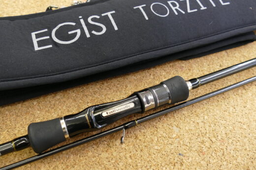 テイルウォーク　EGIST　TZ　77L