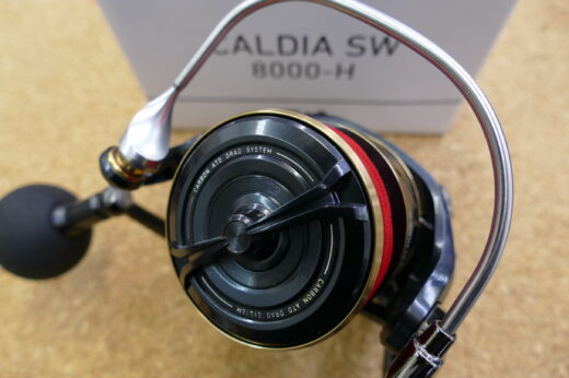 22ダイワ　カルディアSW8000-H