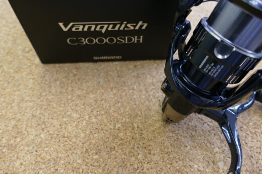 19ヴァンキッシュ　C3000SDH