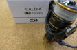 21カルディアLT2500S