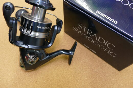 20ストラディック SW8000HG